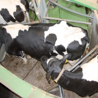 Hochdruckschlauch für den Agrarbereich